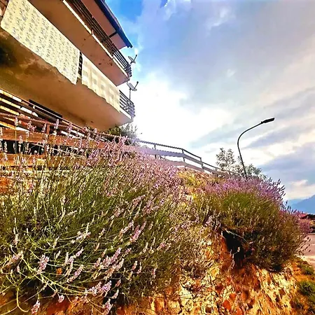 Lavanda San Giacomo Di Roburent